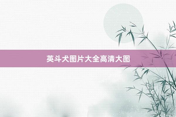 英斗犬图片大全高清大图