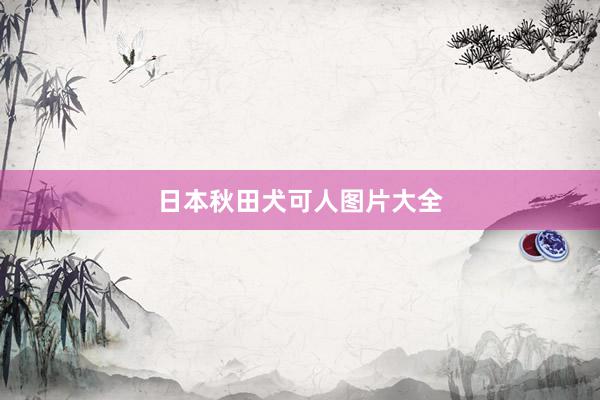 日本秋田犬可人图片大全
