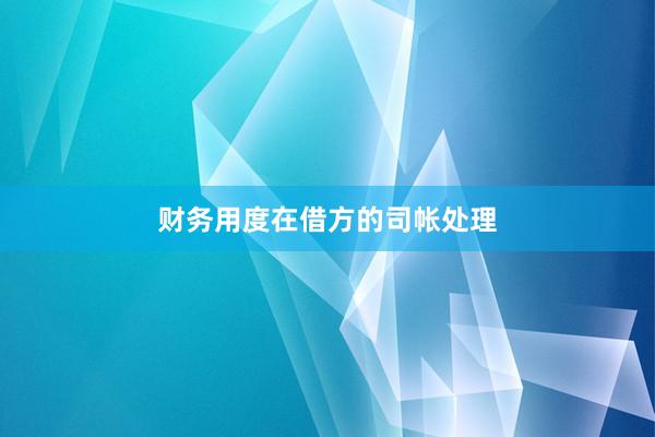 财务用度在借方的司帐处理