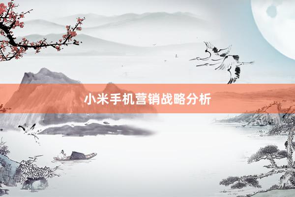 小米手机营销战略分析